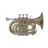 BACH BB ZSEB-TROMBITA PT650 GEWA