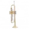 Garry Paul GP-6418L-A4 Bb trombita - 1